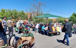 Deichselreitertreffen am Glemser Obstbaumuseum.
