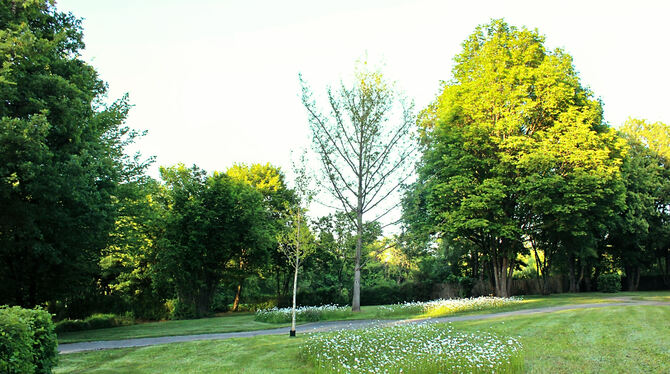 Friedhof Oferdingen Auf dem Friedhof Oferdingen sind jetzt auch Urnenbestattungen möglich.