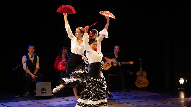 Die Sinne verzaubernd: Mi Mundo Flamenco.