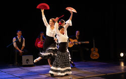 Die Sinne verzaubernd: Mi Mundo Flamenco.