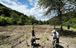 Oberhalb des Uracher Bibersees wird eine Ausgleichsfläche angelegt. Hier bringt Roland Brantner aus Friolzheim (2. von links) mi