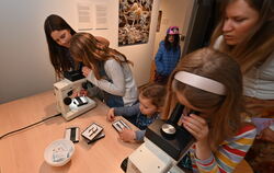 Die gemeinsame Rallye begann für die Familien im Naturkundemuseum. 