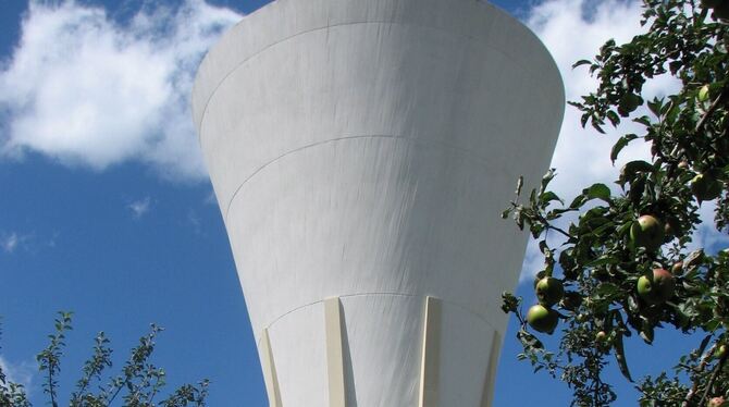 Der Wasserturm in Häslach soll Ende 2026 stillgelegt werden. Die Gemeinde will das Wahrzeichen des kleinen Teilortes erwerben.
