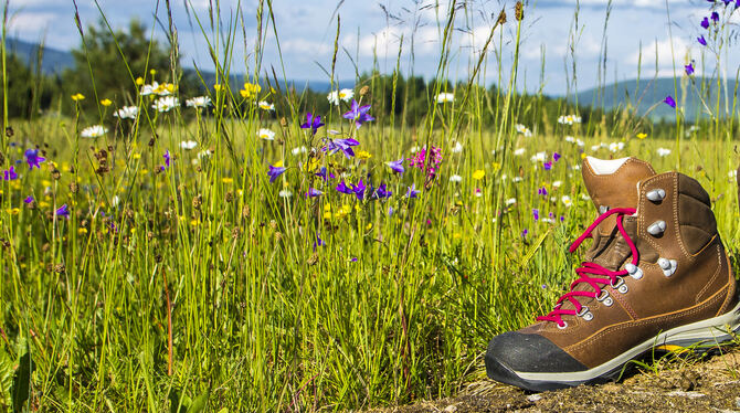 wanderschuhe, wanderstiefel, wandern, sommer, wiese, sommerblumen, wald, bayerischer wald, bayern, urlaub, freizeit, wanderkarte Die Wanderschuhe schnüren und los geht's - wenn das mit Kindern nur immer so einfach wäre.