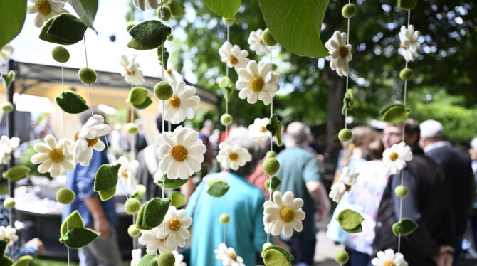 GardenLife Gartenmesse Pomologie Die GardenLife in der Pomologie ist nich bis Sonntag geöffnet.