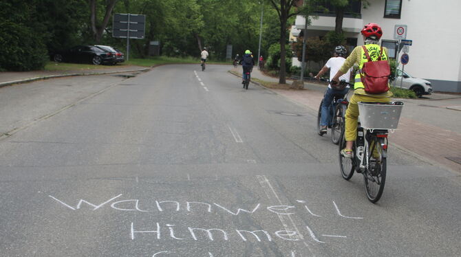 Raddemo Wannweil Ein Kilometer Straße zwischen Wannweil und Kirchentellinsfurt war gestern zwei Stunden für den Fahrradverkehr gesperrt.