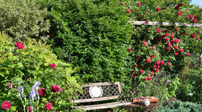 Romantischer Sitzplatz im Garten von Sonja Lumpp in Kusterdingen. FOTO: PRIVAT