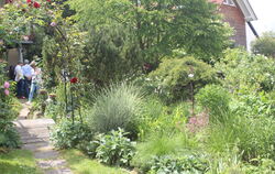 Ein Einblick in den Garten von Sonja Lumpp aus Kusterdingen.