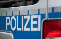 Symbolbild Polizeiauto