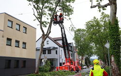 Die Pfullinger Feuerwehr fällt eine Platane in der Marktstraße, die durch das Unwetter in Schräglage gekommen ist.  FOTO: REISNE