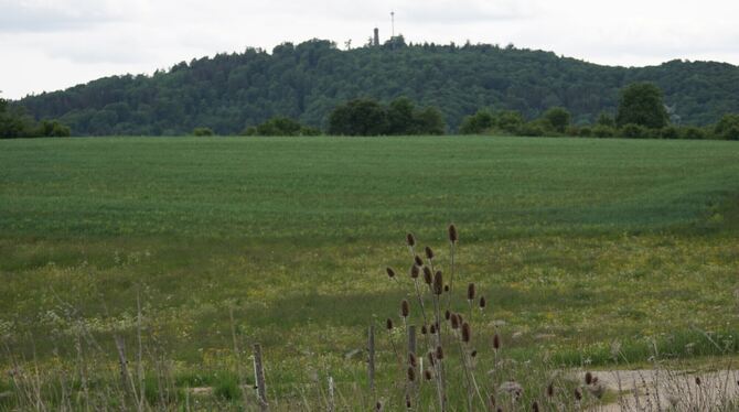 Nicht alle im Gemeinderat stehen der geplanten PV-Anlage im Gewann Hochgesträß positiv gegenüber. Im Hintergrund ist der Sternbe