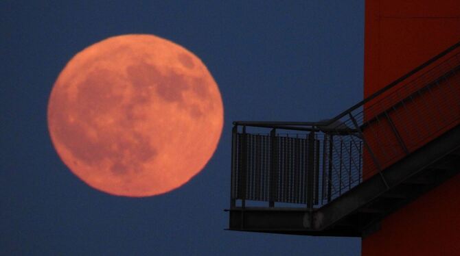 Erdbeermond