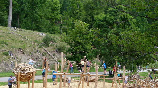 Schon wenige Tage nach der Eröffnung ist der Waldspielplatz Saurucken mit den neuen Geräten ein beliebtes Ausflugsziel. FOTO: W Schon wenige Tage nach der Eröffnung ist der Waldspielplatz Saurucken mit den neuen Geräten ein beliebtes Ausflugsziel. FOTO: W