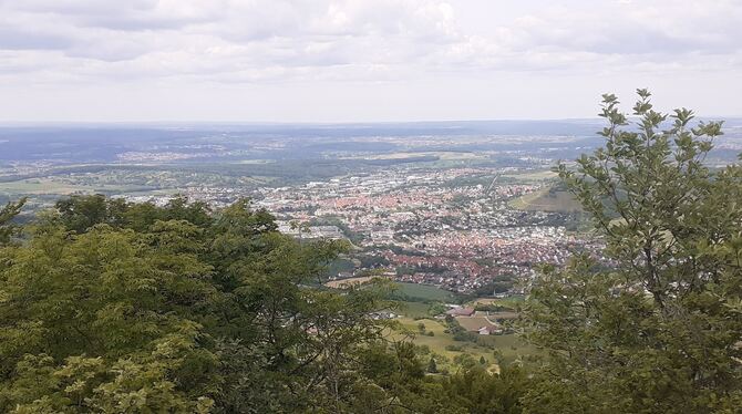 Roßfeld Aussicht Metzingen Stuttgarter Vorland Wächst langsam zu: Blick vom Olgafels auf dem Roßfeld auf Metzingen und das Stuttgarter Vorland.