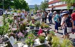 Kunsthandwerk und Pflanzen werden das Stadtbild am Rosenmarkt bestimmen.