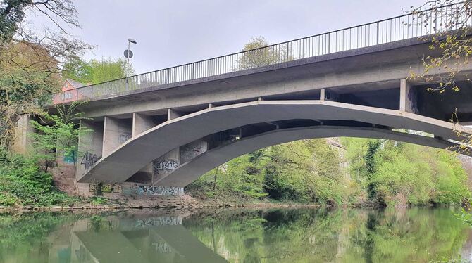 Alleenbrücke Die Alleenbrücke am westlichen Ende der Neckarinsel ist so marode, dass eine Sanierung nicht ausreicht. Sie wird abgerissen und