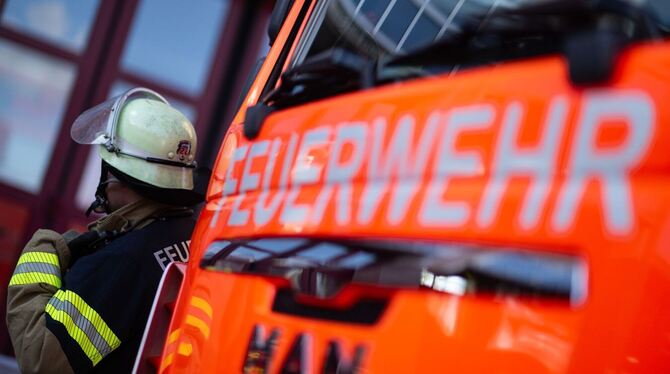 Feuerwehrmann steht neben einem Feuerwehrauto Feuerwehrmann steht neben einem Feuerwehrauto