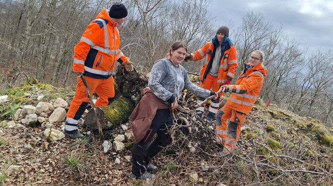 Vorsicht ist bei jedem Schritt geboten. Es soll nicht mehr zerstört werden, was noch von der Burg vorhanden ist.