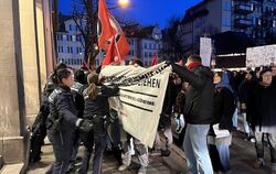 Der Ansturm: Hunderte Protestanten wollen ins Kino Museum, die Polizisten haben zu Beginn ihre liebe Mühe, das Gebäude zu sicher