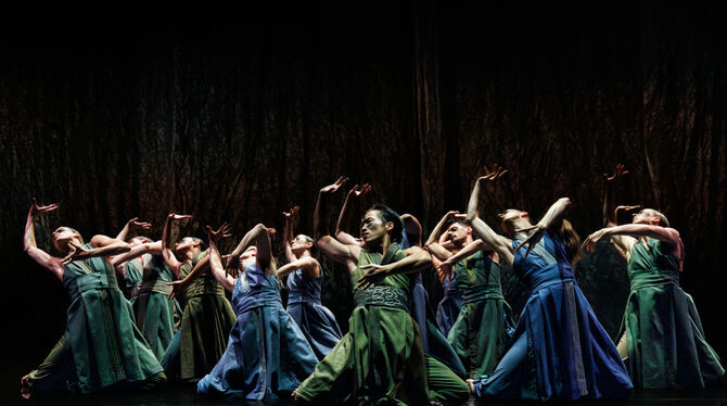 Tanz Theaterhaus Akram Khan Turning of Bones Ein Kollektiv in Trance: Die Tänzer von Gauthier Dance in »Turning of Bones« von Akram Khan