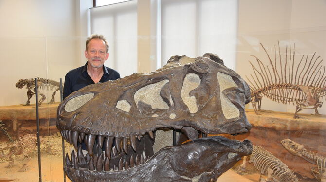 Paläontologie Kegel Geologie Mein Freund, der T. Rex: Buchautor Bernhard Kegel im Institut in der Tübinger Sigwartstraße, wo viele Funde ausgestellt sind.