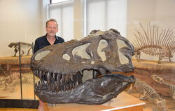 Mein Freund, der T. Rex:  Buchautor Bernhard Kegel im Institut  in der Tübinger Sigwartstraße, wo viele Funde ausgestellt sind. 
