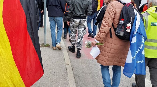 NAzi Zweimal ist Ichmachdnichtmit den Protestaufrufen der GfD gefolgt.