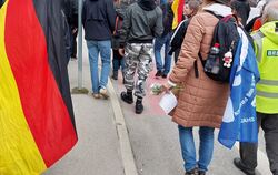 Zweimal ist Ichmachdnichtmit den Protestaufrufen  der GfD gefolgt.  
