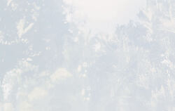 Kulti-Jurassic World_Johannson_Szene_c_UPI