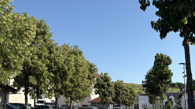 Gemeinderat Münsingen Die Stadt Münsingen legt im Kirchtal Parkplätze an.