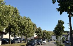Die Stadt Münsingen legt im Kirchtal Parkplätze an.