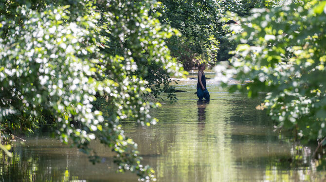 Wo lässt es sich bei Hitze gut arbeiten? Im Grünen und am Wasser. Eine Reutlinger Lehrerin hat am Mittwoch spontan eine Stunde a