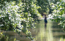 Wo lässt es sich bei Hitze gut arbeiten? Im Grünen und am Wasser. Eine Reutlinger Lehrerin hat am Mittwoch spontan eine Stunde a