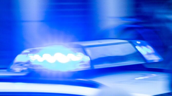 Polizeieinsatz nach Einbruch in Einkaufszentrum