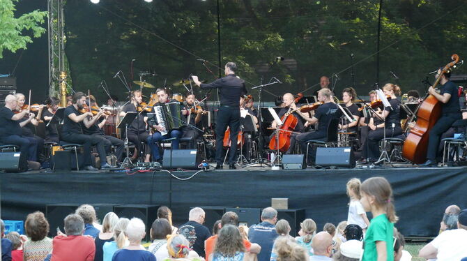Music 4 Humanity Sommerfestatmosphäre mit Reutlinger Philharmonie war ein Teil des Festivals Music 4 Humanity im Stadtpark.