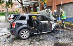 Mini6