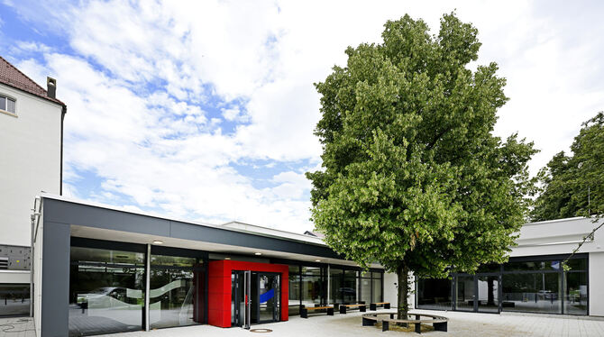 Neubau; Theologische Hochschule Reutlingen; Friedrich-Ebert-Straße 31; Eingangsbereich mit Linde Der neu gestaltete Eingangsbereich mit Linde und runder Sitzbank drumherum führt nun in die Theologische Hochschule Reutlingen.