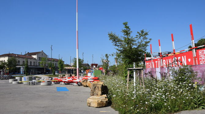 In der Unistadt Tübingen gibt es viele Ideen, was auf dem ehemaligen Busbahnhof entstehen könnte.