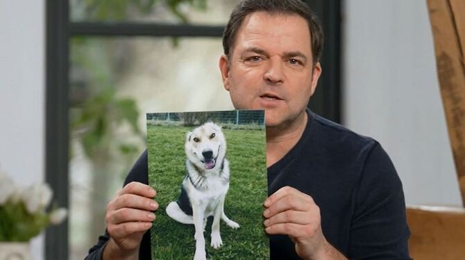 Roulis_Martin_Ruetter_Tiersendung_RTL_Fernsehen So suchte der bekannte Hundetrainer Martin Rütter in seiner TV-Sendung nach einem Zuhause für Roulis, dem Reutlinger Hund ohne O
