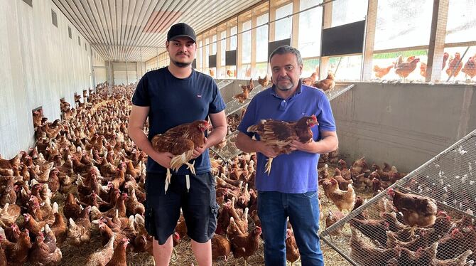 »Das ist der Super-Gau«: Frank Zeeb (rechts) und sein Sohn Daniel stehen fassungslos in Mitten ihrer Hennen. Die braunen Hennen