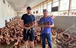 "Das ist der Super-Gau": Frank Zeeb (rechts) und sein Sohn Daniel stehen fassungslos in Mitten ihrer Hennen. Die braunen Hennen 