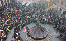 Tausende demonstrierten im Januar 2024 gegen Rechts. Die Stadtverwaltung rechnet für Samstag mit ähnlich viel Widerstand, wenn d