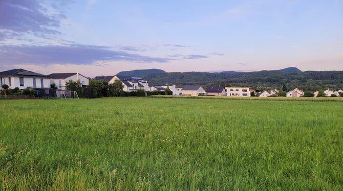 Ehrenberg III Hier könnte das Neubaugebiet »Südwest-Ehrenberg III« am Nehrener Ortsrand entstehen.