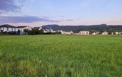 Hier könnte das Neubaugebiet "Südwest-Ehrenberg III" am Nehrener Ortsrand entstehen.