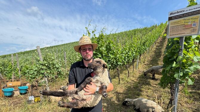 Stefan Reusch mit Luis, dem jüngsten Mitarbeiter, in seinem Weinberg.  FOTO: RUOF