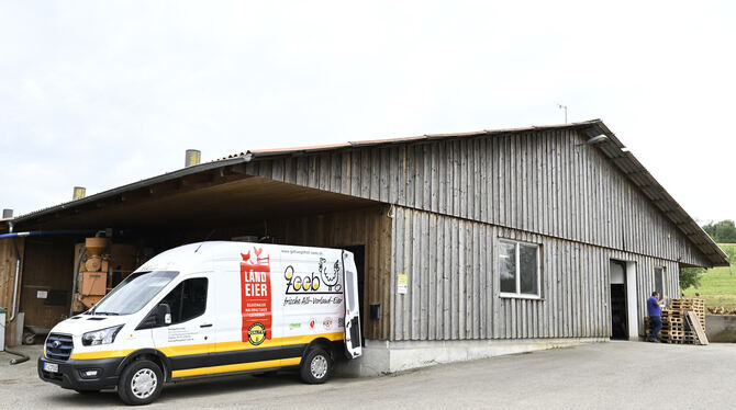 Sickenhausen Tierschützer Aninova Geflügelhof Zeebs Eierhof in Sickenhausen wurde Ziel einer Kampagne der Tierschutzorganisation Aninova.