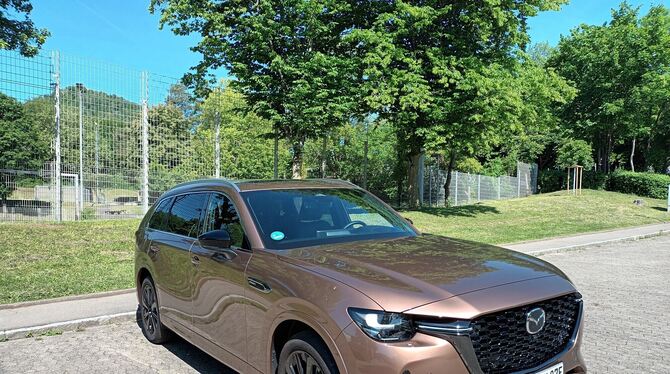 Bis zu sieben Personen können im Mazda CX-80 reisen.  FOTOS: KREPPENHOFER