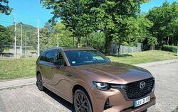 Bis zu sieben Personen können im Mazda CX-80 reisen.  FOTOS: KREPPENHOFER