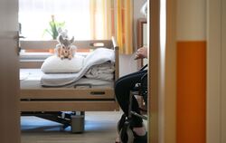 Heimplätze sind noch teurer geworden.