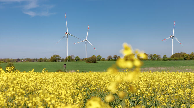 Trochtelfinger haben ein Bürgerbegehren gegen den Bau von Windrädern auf Stadtgebiet eingereicht. Der Gemeinderat hat es als unz